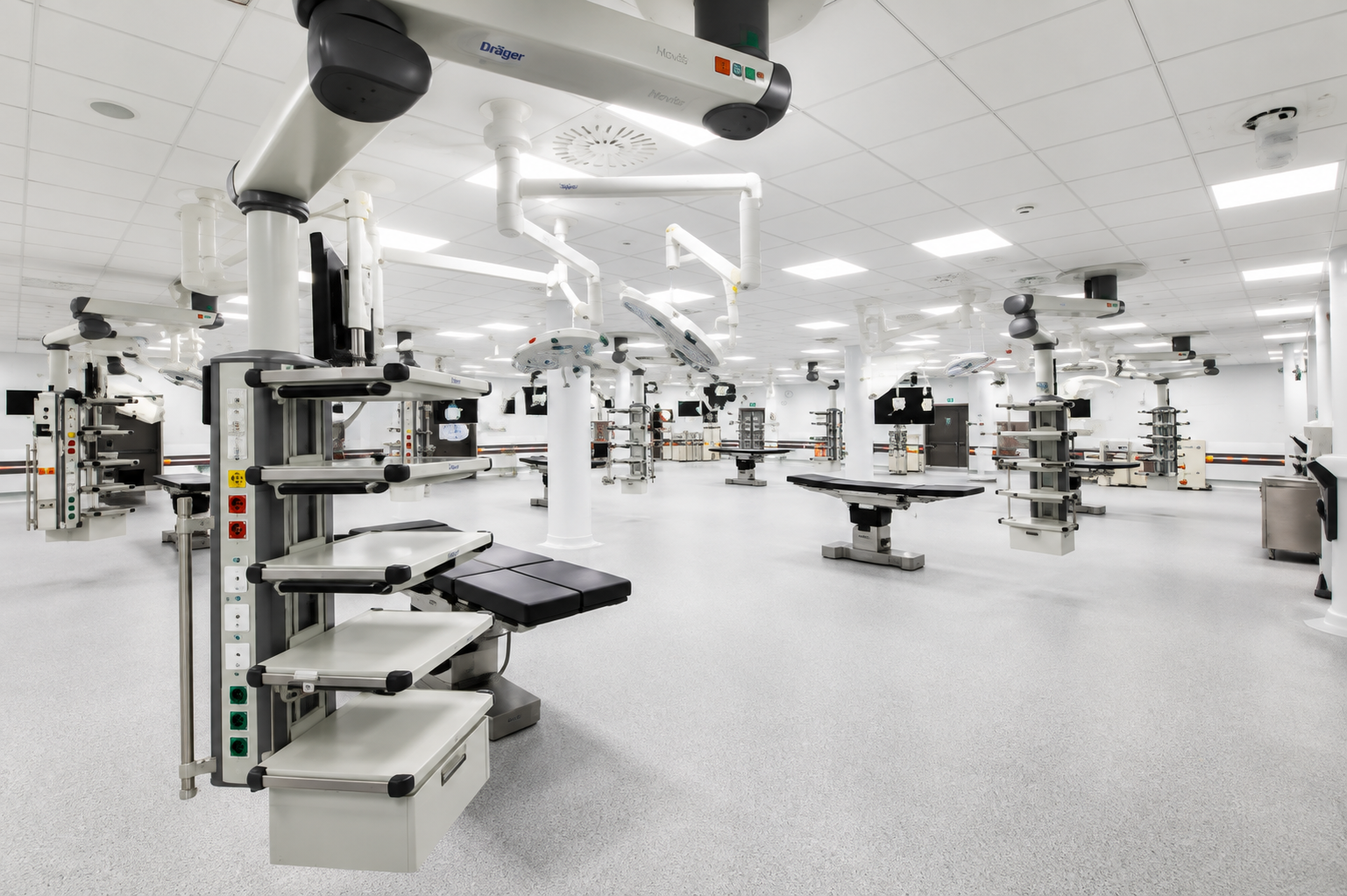 Collegium Orthopaedicum